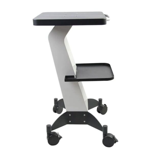 Chariot en acier inoxydable – PhysioEsthetika